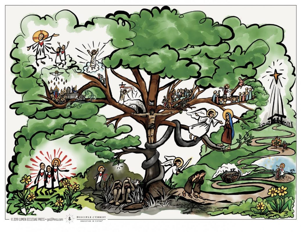 Kerygma Tree Illustration